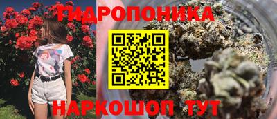 эйфоретик Владивосток